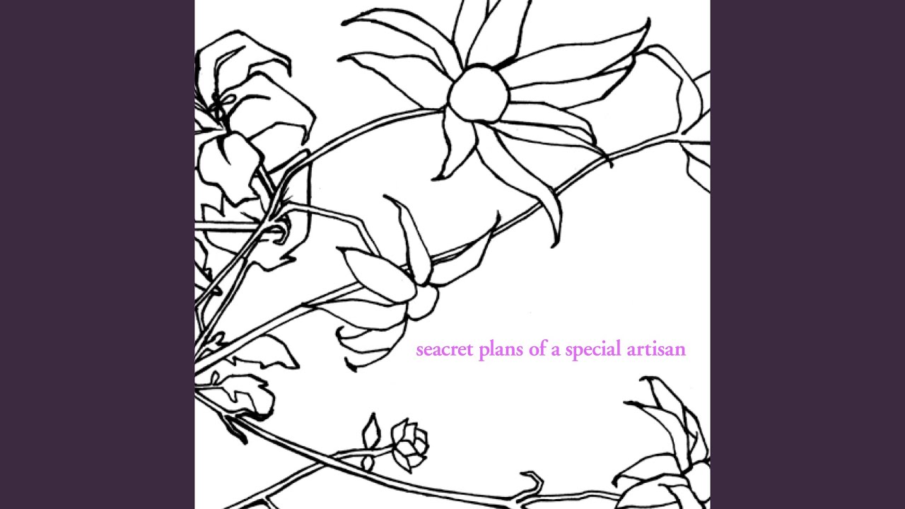 the forest on the way home