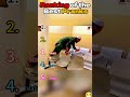 Ranking of the Best Pranks