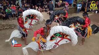 Ikatan Seni Jaran Thek Ponorogo feat Turonggo Yoso Dipuro (Solah Kepang vs Celeng)