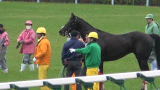 【放馬】ゲートに騎手を置いて一人で走りラチに当たり転倒し怪我するも何周も走った ②コマンドライン 現地映像