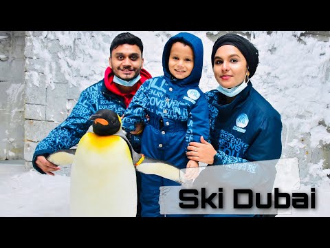 Ski Dubai || snow park in Dubai || penguins
