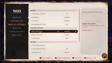 The Best Raiden-Sektor Combos