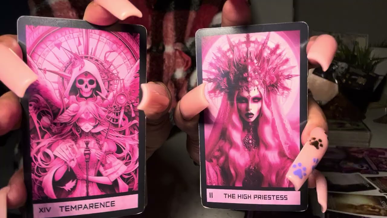 ONE MONKEY COULD NEVER STOP THIS SHOW!! (PART TWO)