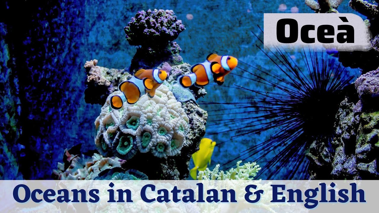 Oceà - Oceans in Catalan & English
