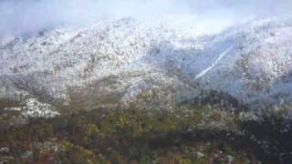 こぼれ花 歌詞 石原裕次郎 ふりがな付 うたてん