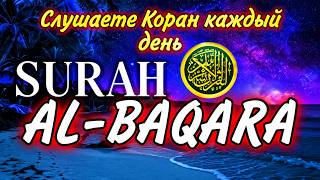 СУРА АЛ-БАКАРА. УСПОКАИВАЮЩИЕ ЧТЕНИЕ КОРАН. СЛУШАЕТЕ ПЕРЕД СНОМ.