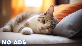 12 Hours Calming Music for Cats 🐈 Sleep Music for Cats No Ads ♬ Sleep Music for Anxious Cats