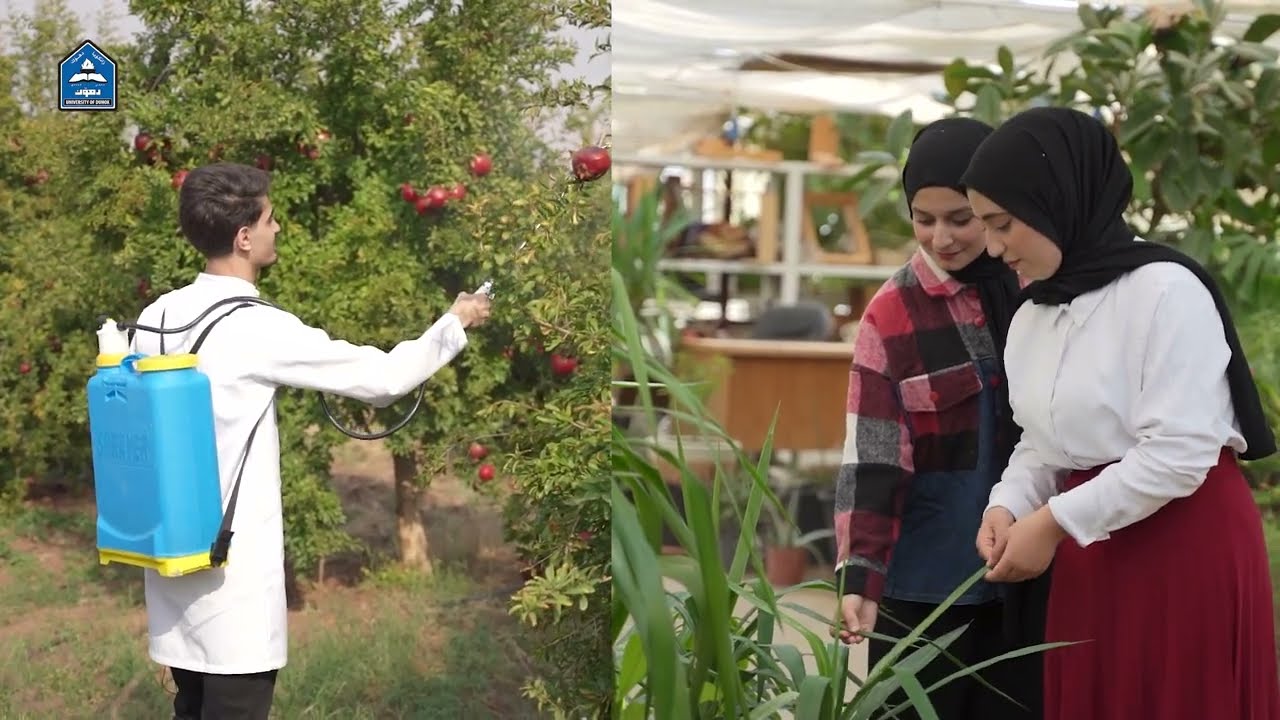 پشکا بیستانکاری ل کولیژا زانستێن ئەندازیاریا چاندنێ ل زانکۆیا دهۆک