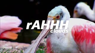 Video thumbnail of "rAHHH - Clouds"
