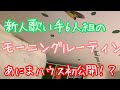 新人歌い手6人組のモーニングルーティン大公開!!【あにまーじゅ】