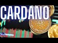 Cardano ADA Price News - Technical Analysis, Price Prediction - Crypto News Update