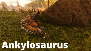 Ochočil jsme Ankylosaura a našli vodního bosse ( Ankylosaurus taming ) - Ark Survival Ascended CZ/SK