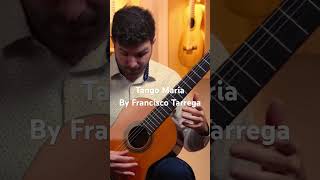 🔥Tango Maria🔥by Francisco Tarrega. Full concert video out now on @SiccasGuitars ! #guitar