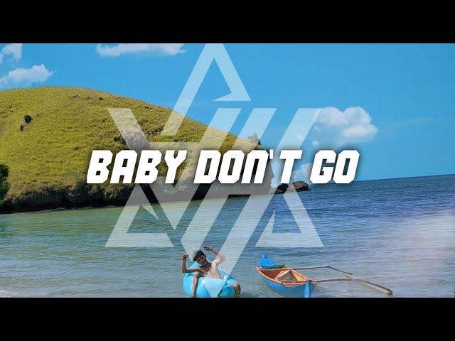 REGGAE || BABY DONT GO REMIX 2023 class=