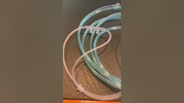 EtCO2 Nasal Cannula with Male Luer Disposable