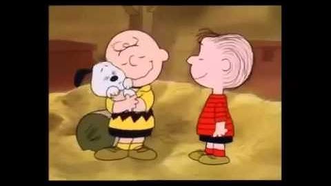 查理布朗认养史努比 (Charlie Brown adopts Snoopy) 中文字幕 - 天天要闻