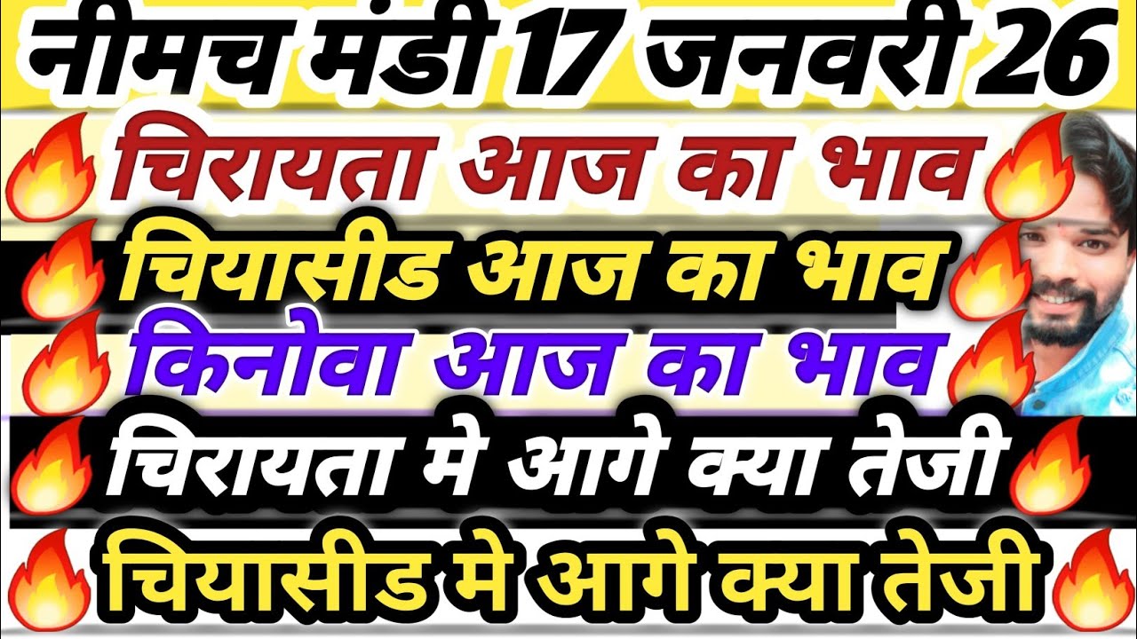 नीमच मंडी भाव। चिया का भाव। किनोवा का भाव। चिरायता कालमेघ का भाव। Neemuch Mandi bhav today chirayata