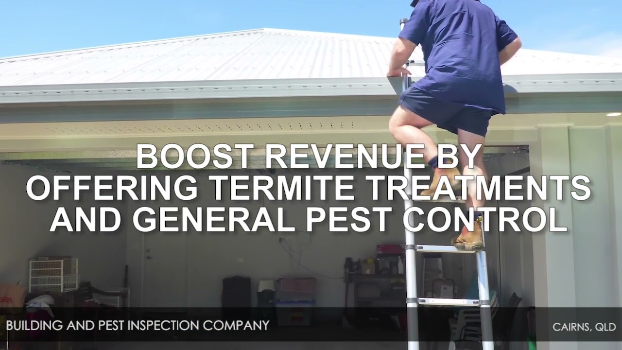 Building and Pest Inspection Company – Cairns, QLD 4870