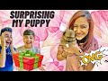 SURPRISING MY CUTE PUPPY WITH GIFTS | Rimorav Vlogs