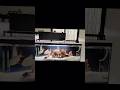 Winter me ye heater jarur lagana 🐠🤯🤯karna#aquarium#fish#shortsviral#viralvideo#ytshorts#shorts →2026