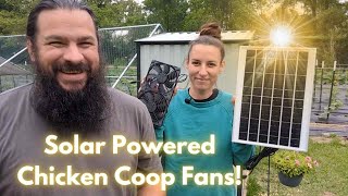 Solar Powered Chicken Coop Fans | Beating the Texas heat in the chicken coop