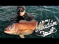 What a day spearfishing south africa  how to cook fish in a smoker