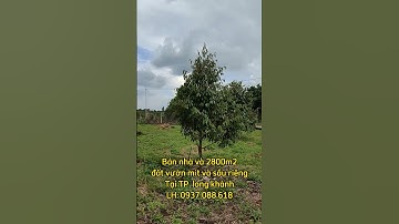 bán nhà và 2800m2 vườn sầu riêng và mít tại TP Long Khánh. #đất_đồng_nai #đất_long_khánh #bán_vườn