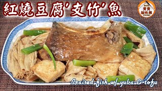 🎀紅燒豆腐支竹炆魚|不肥膩清淡配搭|Braised fish w/ yuba & tofu