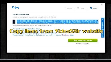 VideoStir - WordPress - How to embed a floating clip into your WordPress website