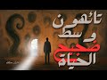 رحلة إلى الذات: كيف نجد أنفسنا ونهدأ وسط كل هذا الصخب والضجيج من حولنا؟
