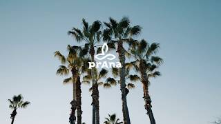 Pants for Any Environment