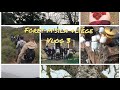 Vlog MSILA FOREST ORAN Щ Ш Щ ЩЉ Ш Щ ШґШ Ш Ш Ш Щ ШЄЩЉ ЩЉШіШЄШ Ш Ш Ш Щ ЩЃЩ ЩЉЩ рџ Vlog MSILA FOREST ORAN Щ Ш Щ ЩЉ Ш Щ ШґШ Ш Ш Ш Щ ШЄЩЉ ЩЉШіШЄШ Ш Ш Ш Щ ЩЃЩ ЩЉЩ рџ