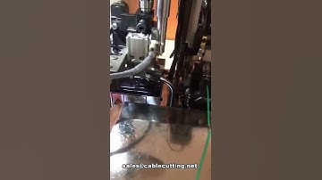 Fully automatic two ends middle stripping wire terminal crimping machine