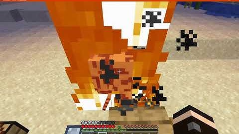 Wooden Utilities 1.14.4, 1.15.2 & 1.16.3 Forge Mod Overview