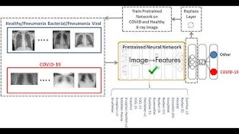 Building Your Chat Bot Using Natural Language Processing (NLP) - Step-by-Step Tutorial