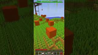 Minecraft Wheat Parkour Gameplay [1188]