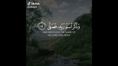 سوره الاعلى ★ حالات واتس اب -للقارئ:  "اسلام صبحي"