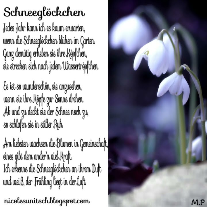Schneeglöckchen von Nicole Sunitsch YouTube