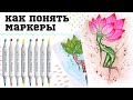 Книга, которая поможет не бояться маркеров от Ани Idiotstile