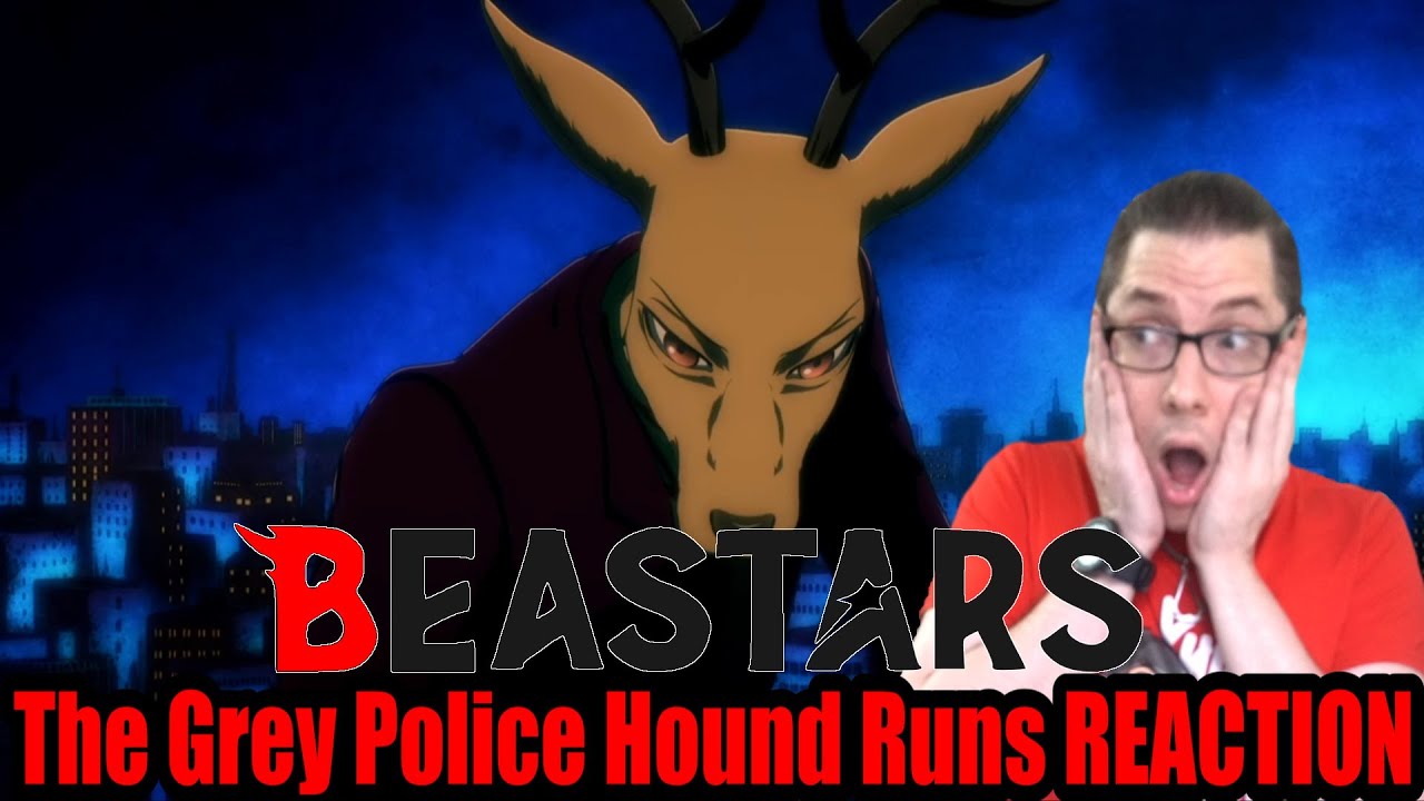 Beastars 2 - 02 [The Grey Police Hound Runs] - Star Crossed Anime