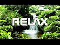 Beautiful Waterfall and Native American Flute Music For Relaxation, Meditation, Study, Sleep