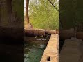 يم الخديد الحلو جنو مايه