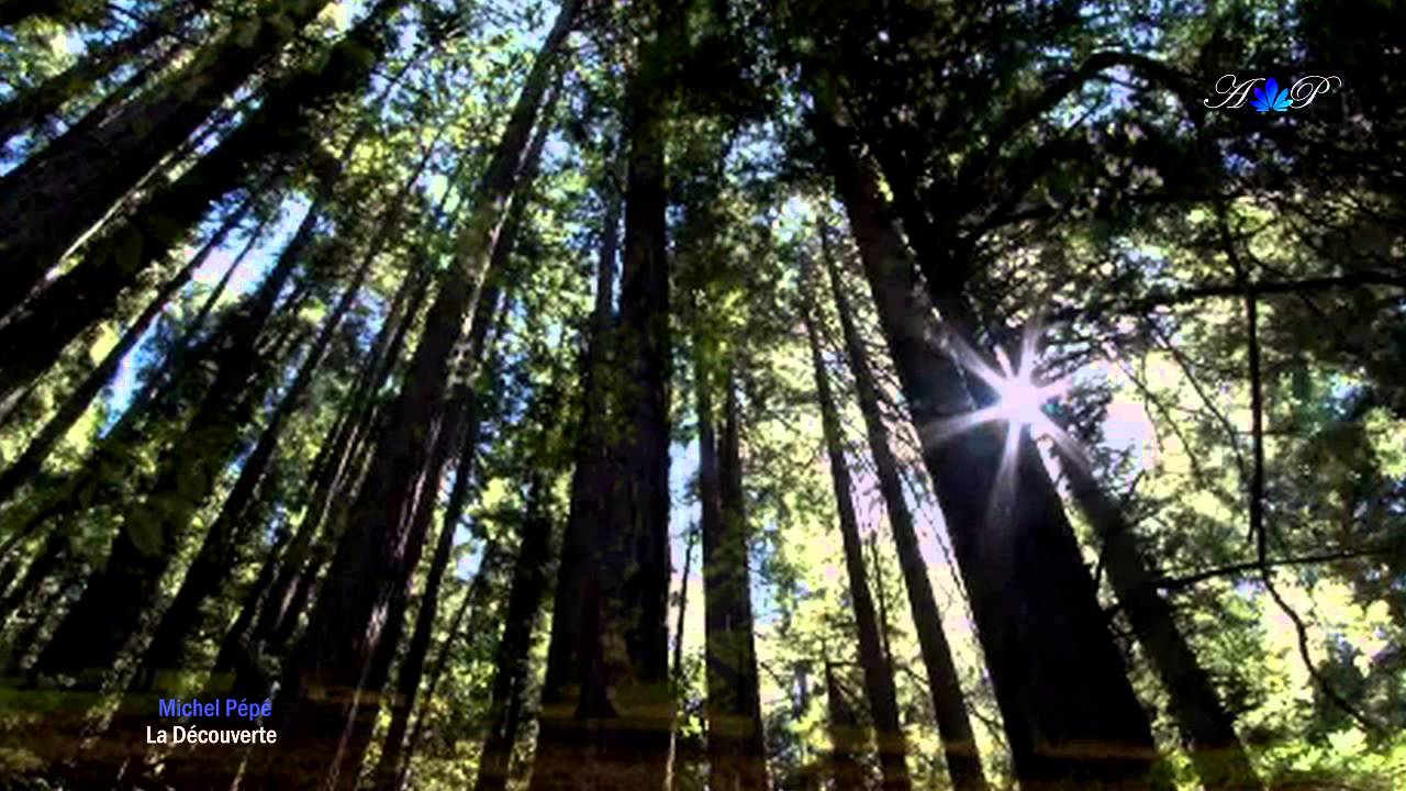 ♡ Michel Pépé - La Découverte (relaxing, soothing music) - YouTube