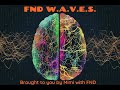Highlight 000  342 from fnd waves is live