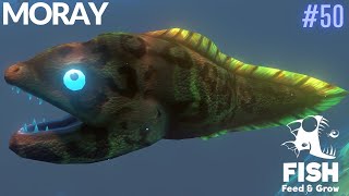 Feed And Grow Fish : Moray screenshot 5
