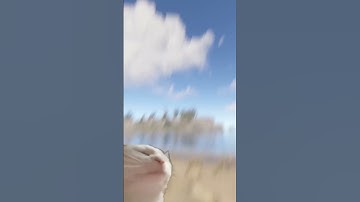 NEW UPDATE - PARACHUTES is OFFICIALLY in RUST shorts #shorts #rust #rustupdate #rustclips