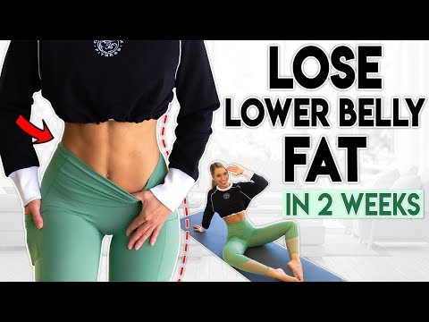 Lose Lower Belly Fat In 2 Weeks | 6 Minute Home Workout