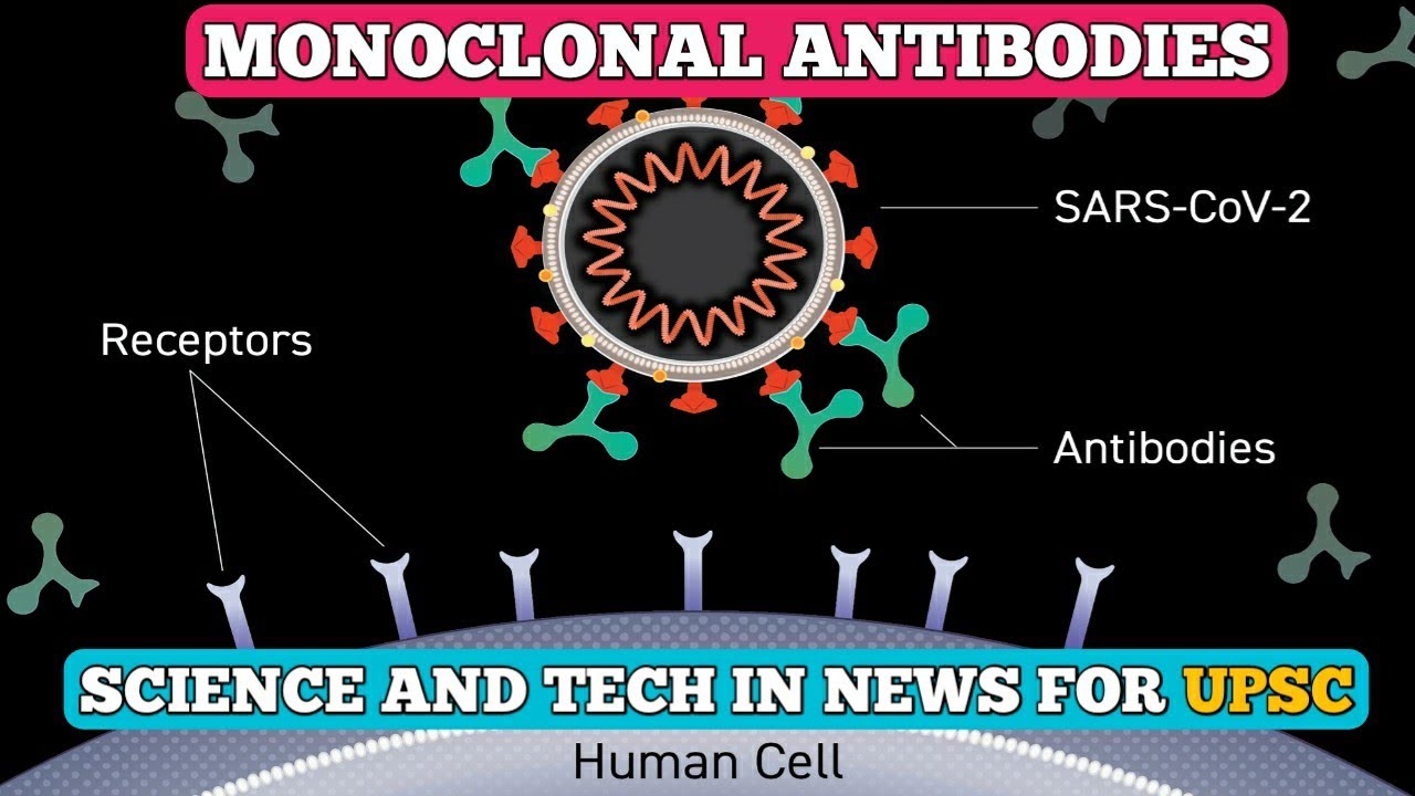 Monoclonal Antibodies Antigen Blood Science and tech for UPSC 