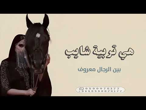 هي تربية شايب بين الرجال معروف شيلات عروس اداء متعب الخيل