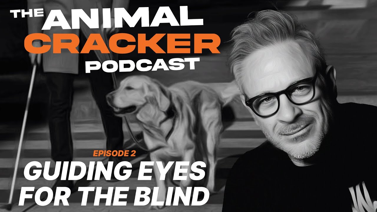 The Animal Cracker Podcast  ///  Guiding Eyes For The Blind  ///  Ep 1